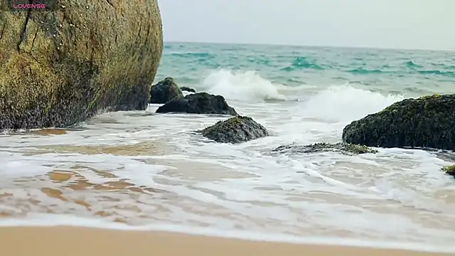  sex in paradise  online show from December 2024 12:41:02 AM