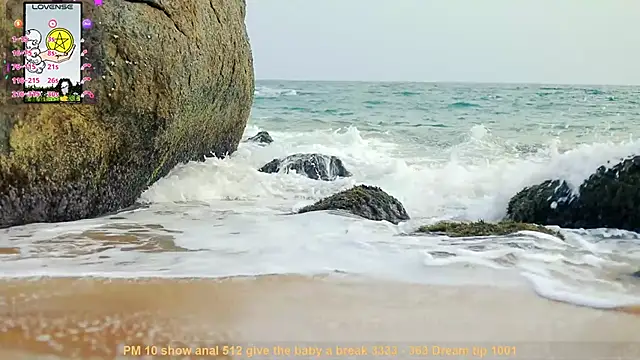  sex in paradise  online show from December 2024 12:41:01 AM