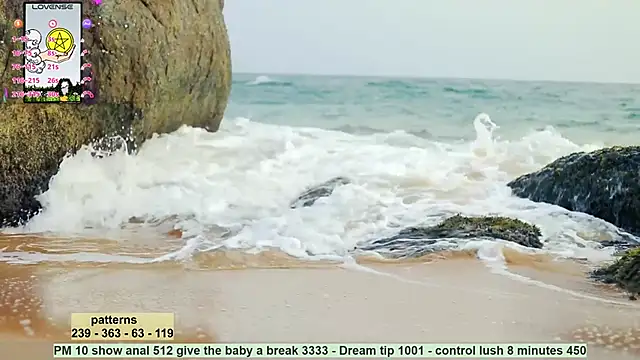  sex in paradise  online show from December 2024 11:59:02 PM