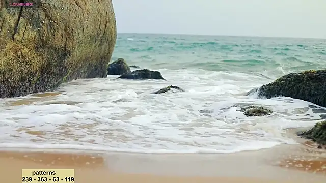  sex in paradise  online show from January 2025 12:55:02 AM