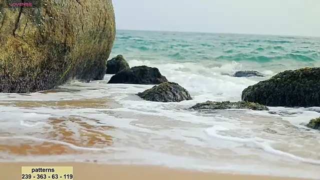  sex in paradise  online show from January 2025 11:54:01 PM