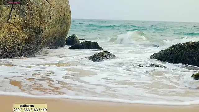  sex in paradise  online show from January 2025 11:50:02 PM