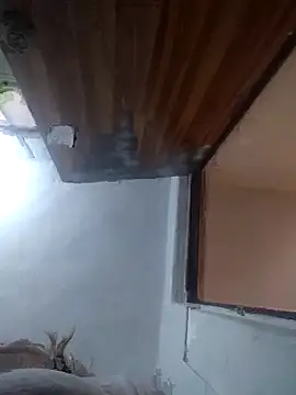 Snapshot of iDogrose21 chatting on December 2025 03:38:02 PM iDogrose21 online show from December 2025 03:38:02 PM