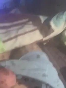 solomec online show from November 2025 06:35:01 AM