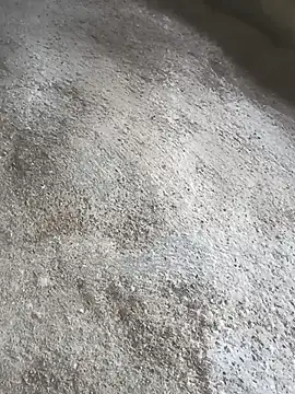 SisterlyFarmhand online show from October 2025 10:58:02 AM