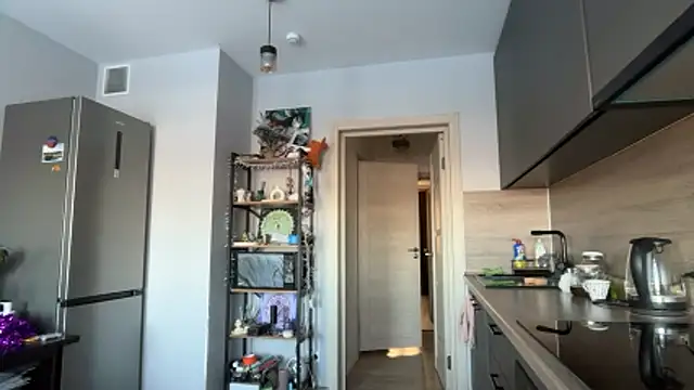 jainesummer online show from February 2026 08:08:02 AM