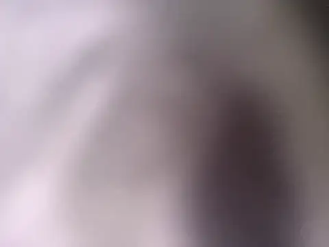 pantomax online show from September 2025 08:48:02 AM