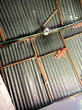 ElNegroRony online show from December 2025 06:26:02 PM