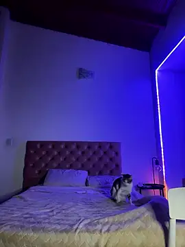 soygalaof online show from January 2026 06:40:01 AM