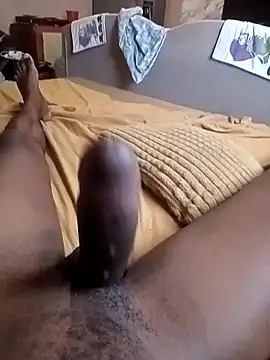 Lexwelll online show from March 2026 08:47:02 AM