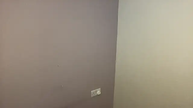 BigCockEnergy online show from December 2024 01:34:02 PM