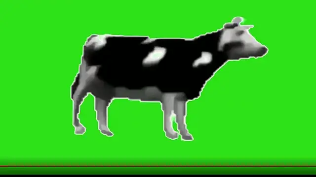 awesome anna online show from February 2026 10:55:02 AM