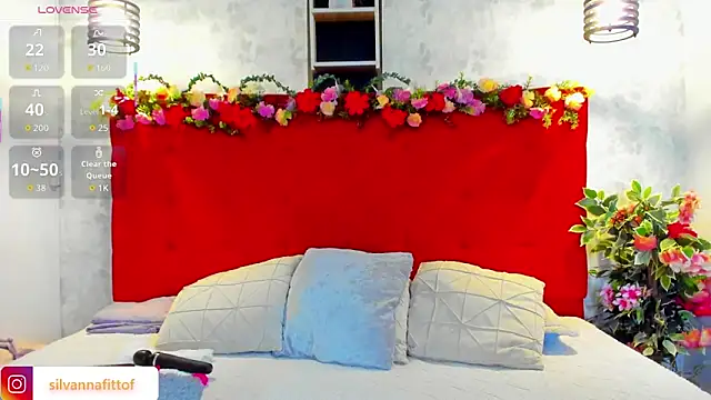 Snapshot of SilvannaFit chatting on February 2026 11:47:02 AM SilvannaFit online show from February 2026 11:47:02 AM