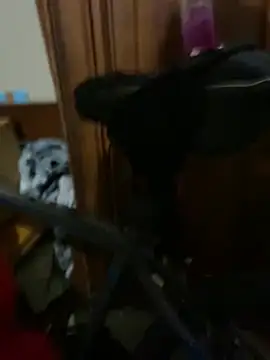 Snapshot of Fuckboy4public chatting on January 2025 05:57:01 AM Fuckboy4public online show from January 2025 05:57:01 AM