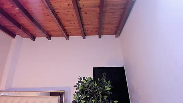 im sebaslopez online show from January 2026 08:01:02 PM