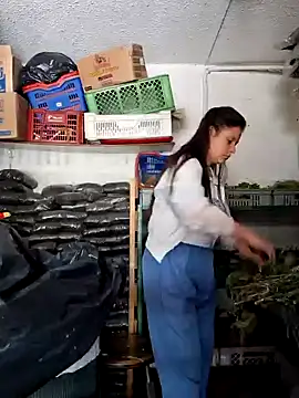 nidia2026 online show from February 2025 06:17:02 PM