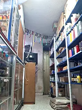 nidia2026 online show from March 2025 05:24:02 PM