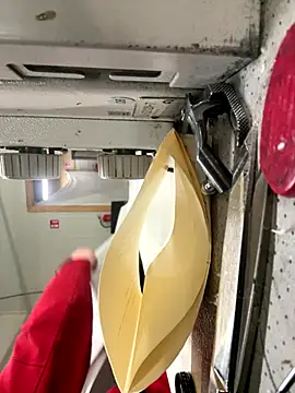 Mustafa-231 online show from November 2025 02:42:01 PM