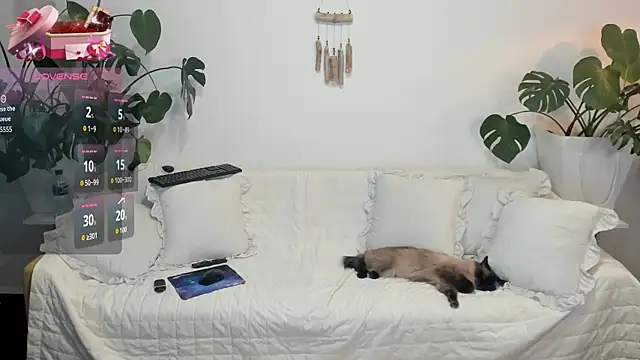 Amie Hill online show from February 2026 07:37:01 AM