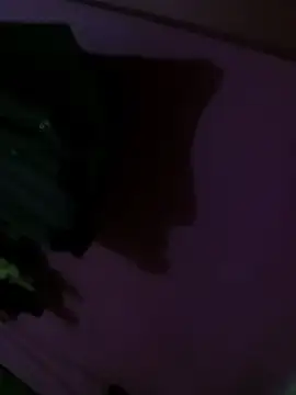 Snapshot of Mastar212 chatting on December 2025 08:26:01 PM Mastar212 online show from December 2025 08:26:01 PM