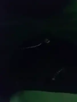 thanos65432 online show from March 2026 05:32:02 AM