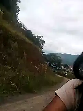 Danna-linyi online show from January 2025 12:54:01 PM