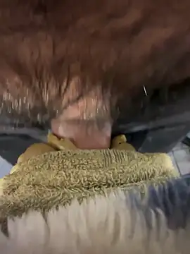 edgher646 online show from April 2026 12:46:01 AM