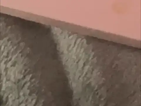 BCNguy1 online show from January 2026 01:42:01 AM