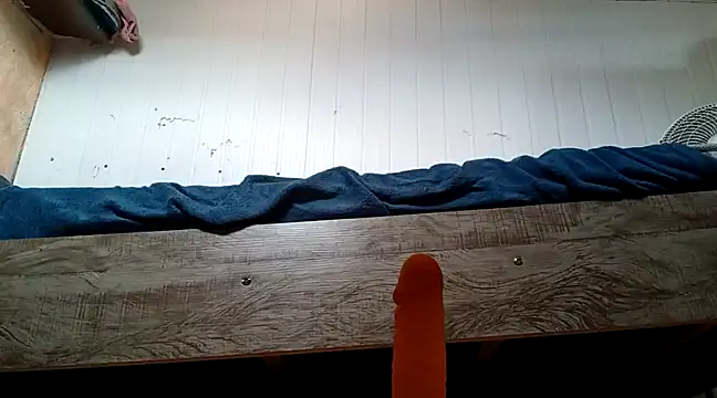 frotasso online show from January 2025 10:40:01 AM