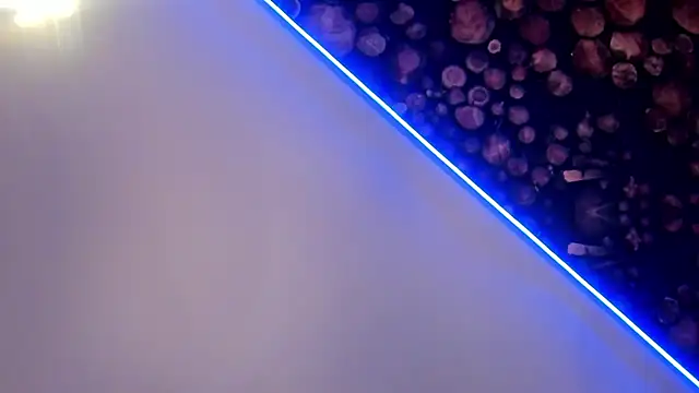 ArtemisaBlake online show from March 2025 04:47:02 PM