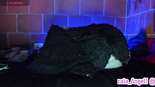 Cata-angel online show from June 2026 10:38:02 PM