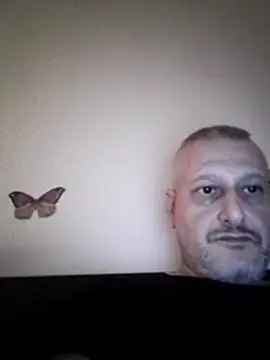 Husoban online show from January 2026 05:49:02 PM