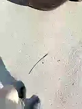 Snapshot of chootkapyasa007 chatting on January 2025 10:06:01 AM chootkapyasa007 online show from January 2025 10:06:01 AM