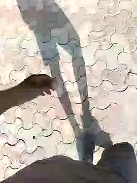 Snapshot of chootkapyasa007 chatting on September 2025 10:48:01 AM chootkapyasa007 online show from September 2025 10:48:01 AM