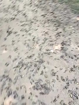 Snapshot of chootkapyasa007 chatting on October 2025 07:19:02 AM chootkapyasa007 online show from October 2025 07:19:02 AM