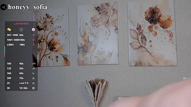 Snapshot of sweete_sofia chatting on March 2025 02:20:01 AM sweete sofia online show from March 2025 02:20:01 AM