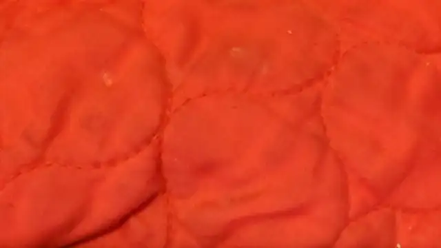 Huntzg23 online show from November 2025 07:44:02 AM