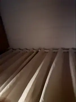 Leinad27 online show from November 2025 01:27:01 AM