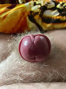 makedaddyhappy6 online show from February 2025 12:57:02 PM