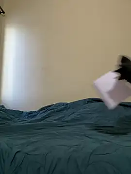 priyadevi17 online show from January 2025 02:44:02 AM