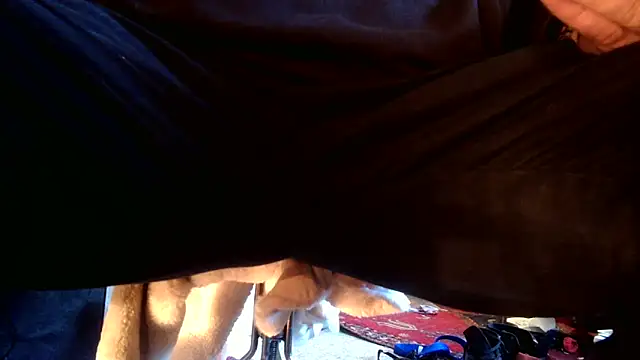 SilverandFox online show from September 2025 05:46:02 PM