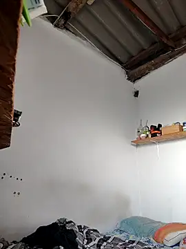 gatoalex89 online show from April 2026 12:22:01 PM