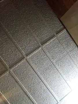 zaneporter46 online show from February 2025 02:21:01 PM