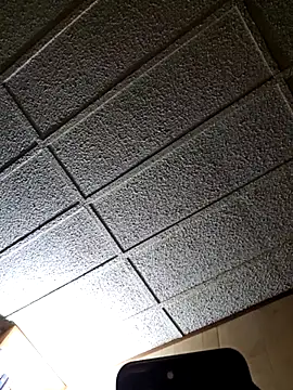 zaneporter46 online show from February 2025 03:42:01 AM