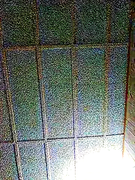 zaneporter46 online show from March 2025 05:20:01 AM