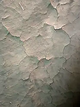 Guru2 online show from January 2026 10:52:02 AM