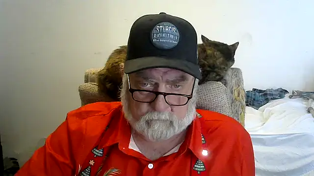 viejo oso online show from December 2025 10:36:01 PM