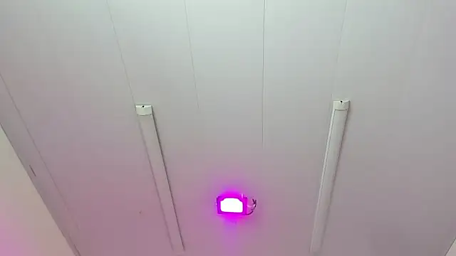 IsabellRodriguez18 online show from March 2026 03:34:02 AM