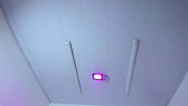 IsabellRodriguez18 online show from March 2026 03:54:01 AM