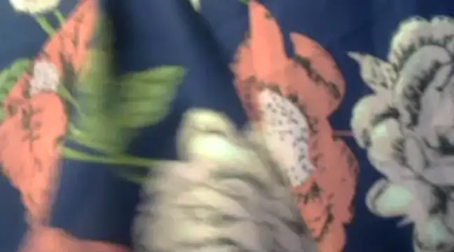 Naughty Nayra online show from February 2025 03:31:01 AM